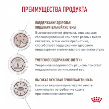 moderate calorie_4